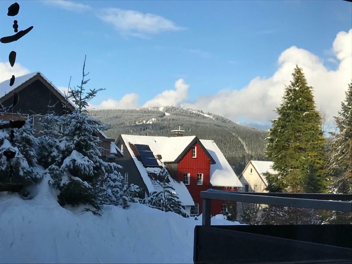 Moderne, Ruhige Ferienwohnung In Braunlage Harz Inkl Wlan & Netflix Exterior foto